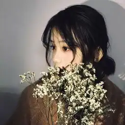 vol.11每日头像