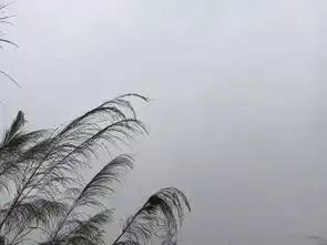 3种方法教你如何用手机app修出水墨画风格照片最值得看的帮你整理好啦
