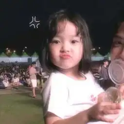 找一下这个图的另一张