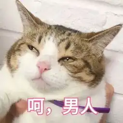 不要轻易测试你的男朋友看了这部综艺,感觉不会再爱了美女