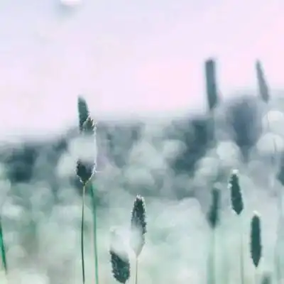 测试一个超长简介的文章