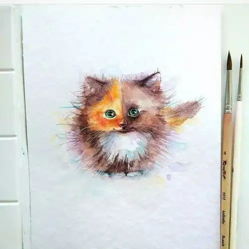ins上有位妹子养了一只喵,从右边看是橘猫,从左边是黑猫像精灵一样