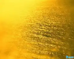 春海丹东