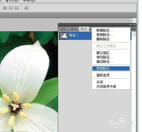 ai里做抠图效果的两种方法