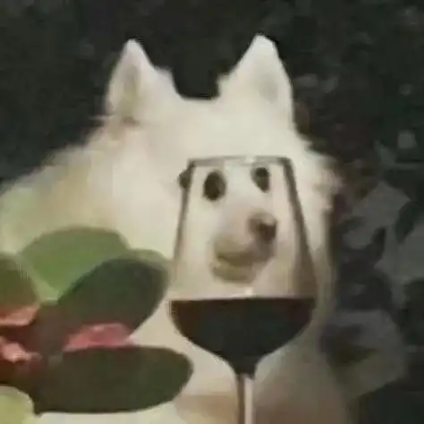 她们这个年纪能有这种状态,很难让人不羡慕吧