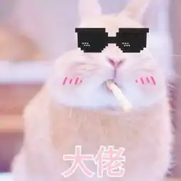 双十一千万别漏买了它