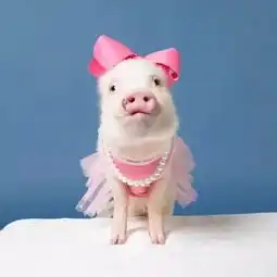 情侣头像我会一直在你身边