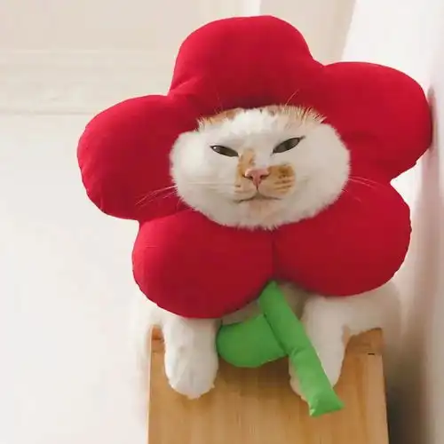 情头情侣头像小情话一切美好都不够表达,我爱你