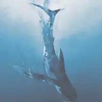 测试一个超长简介的文章
