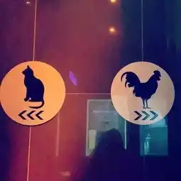 千奇百怪哭笑不得的世界各地厕所标识