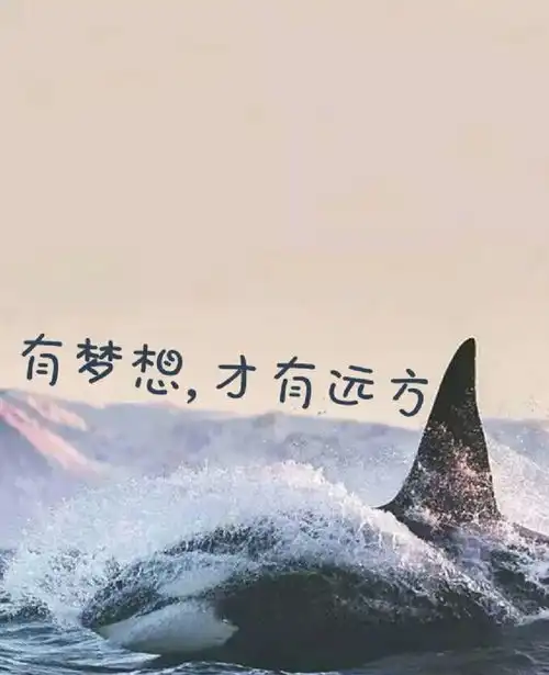 服务创造财富