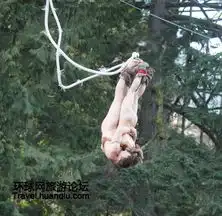 玩的就是心跳加拿大情侣勇敢的裸体蹦极