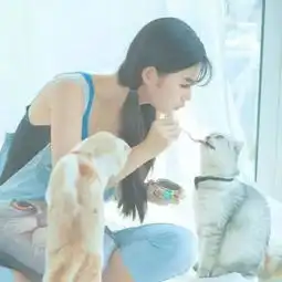 测试一个超长简介的文章
