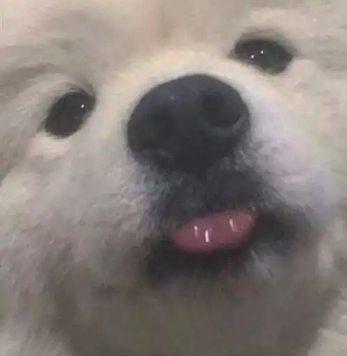 情侣头像大全