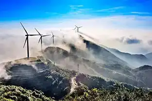 情侣放烟花引发山火河源缺牙山火灾后航拍图曝光,过火面积约10亩