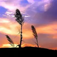 测试一个超长简介的文章