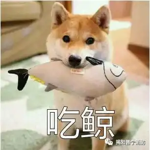 冲动是魔鬼是什么让9岁男孩竟破窗出逃而他家在20楼