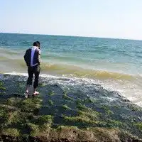 测试一个超长简介的文章