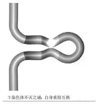 测试一个超长简介的文章