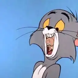 测试一个超长简介的文章
