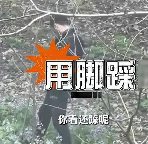 真的气人男子在树林疯狂虐狗,女子飞奔制止后自费2500元救治
