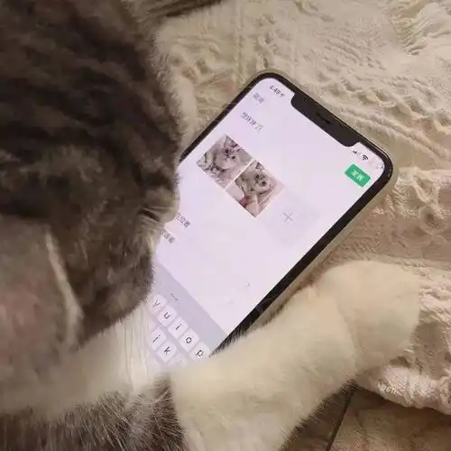 不明显的情头