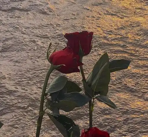 停留在男人心里的女人,大都在这些事里,让他看到了,她的美