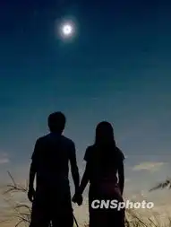 日食趣闻外国情侣浪漫求婚动物回家睡觉