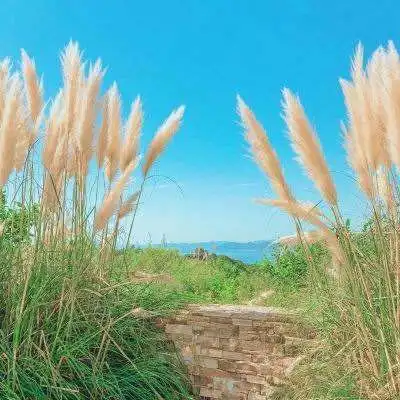 开元国际登录首页