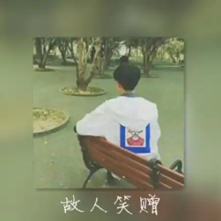 测试一个超长简介的文章