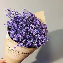 一束花的唯美头像