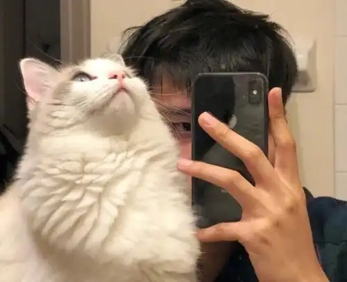 测试一个超长简介的文章