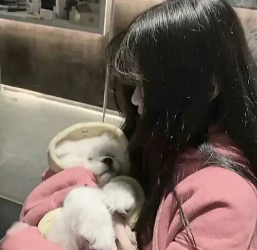 老婆该换情侣头像啦