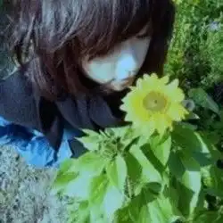 zol下载