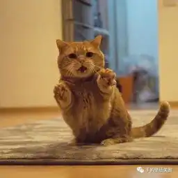 抖音头像精选,最近比较火的头像原图