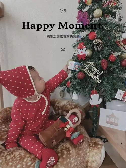 圣诞氛围感的打造,怎么能少得了ta们