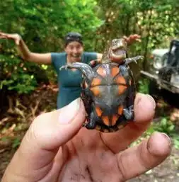 笑死人不偿命的超恶搞牛人