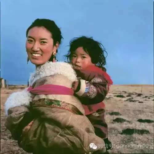 测试一个超长简介的文章