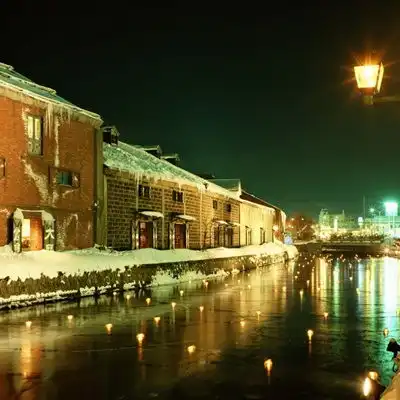 绿色风景头像最美北海道风光18张