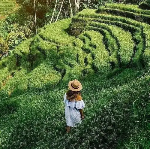 森林头像情侣图片森林