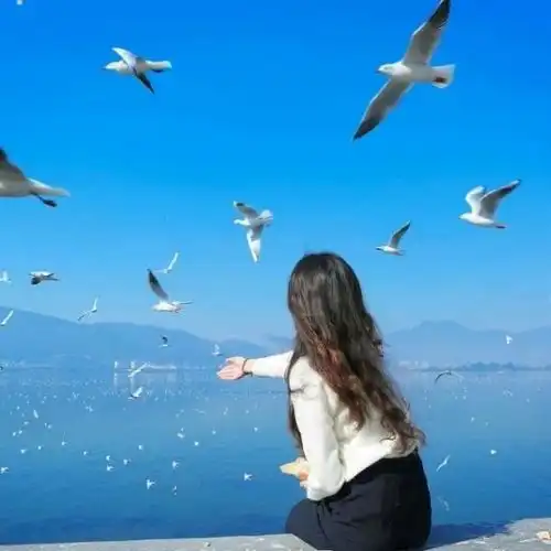 人生百态,各有姿态