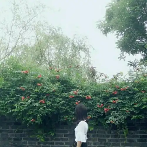 怎样看是不是情侣头像