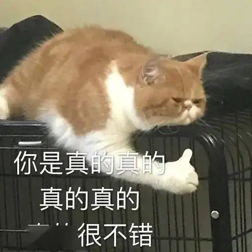 亲测实用又好看,99不出错的礼物