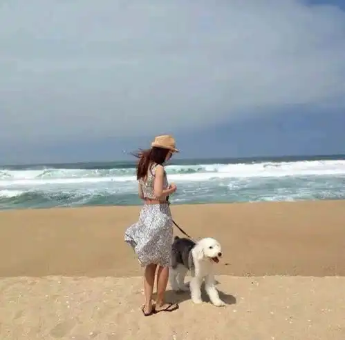 测试一个超长简介的文章