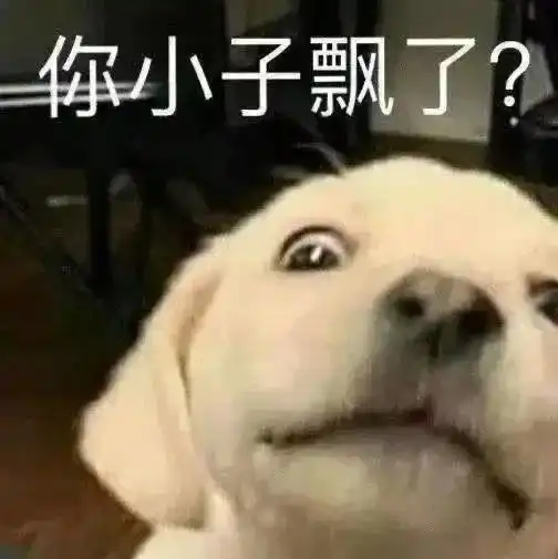 实用斗图表情包