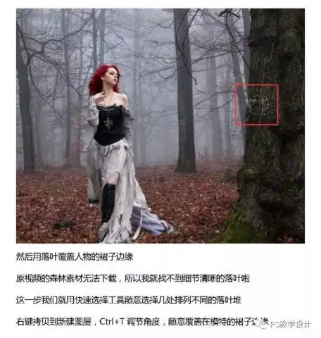 测试一个超长简介的文章