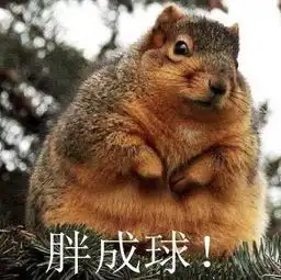 新闻哥吐槽乘客在机场脱鞋睡觉,小伙怒把鞋子扔进垃圾桶干得漂亮