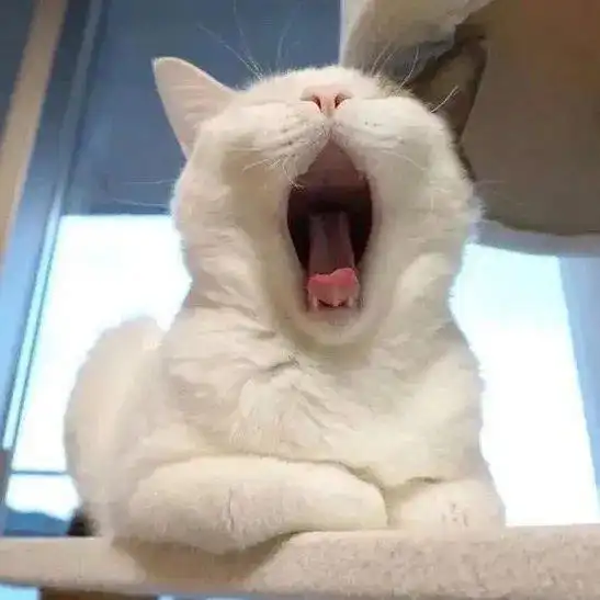 今日头像那你喜欢晴天还是雨天