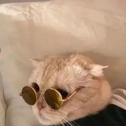 朋友圈背景图丨没有平静的生活,只有平静的心事情