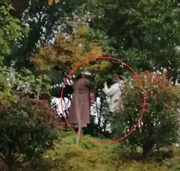 测试一个超长简介的文章